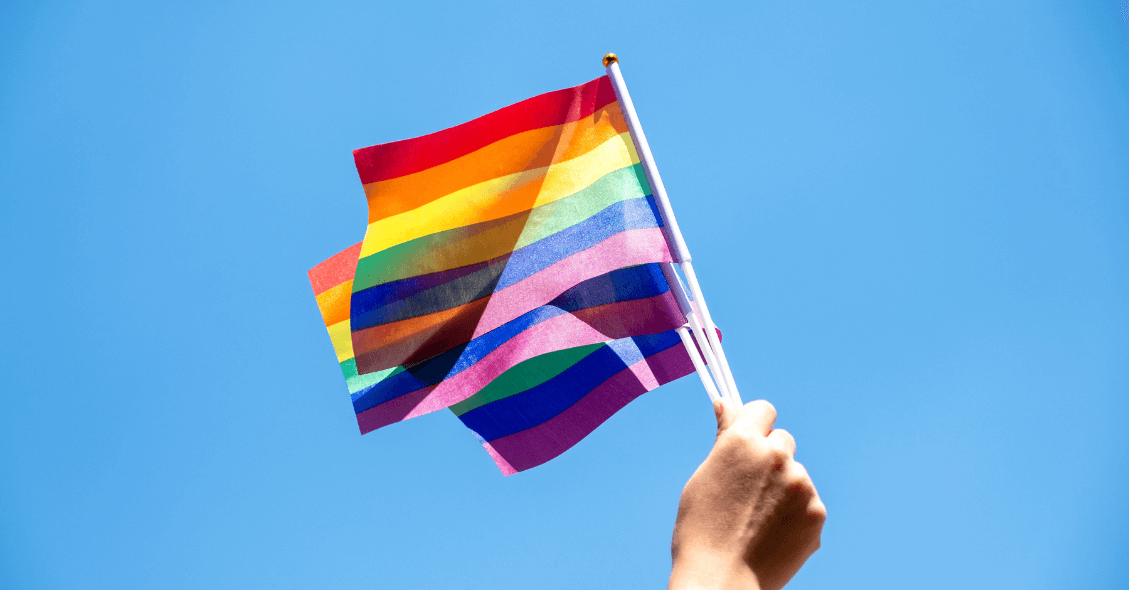 lgbtq flags
