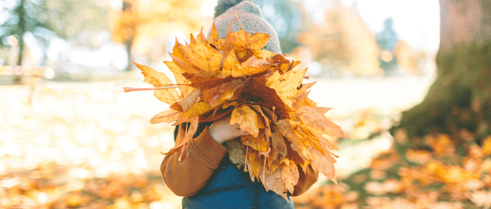 child holding leaves in fall