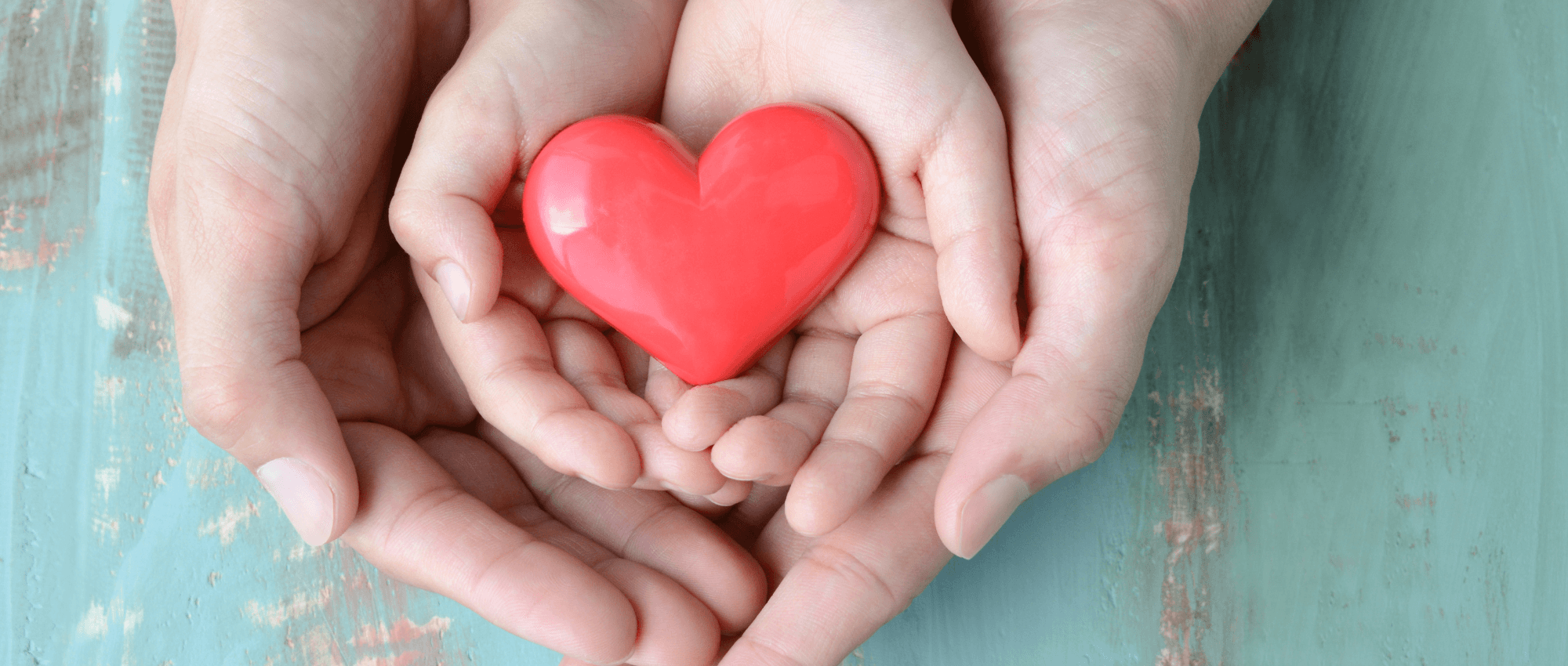 A child holding a red hear and their parent is holding their hands