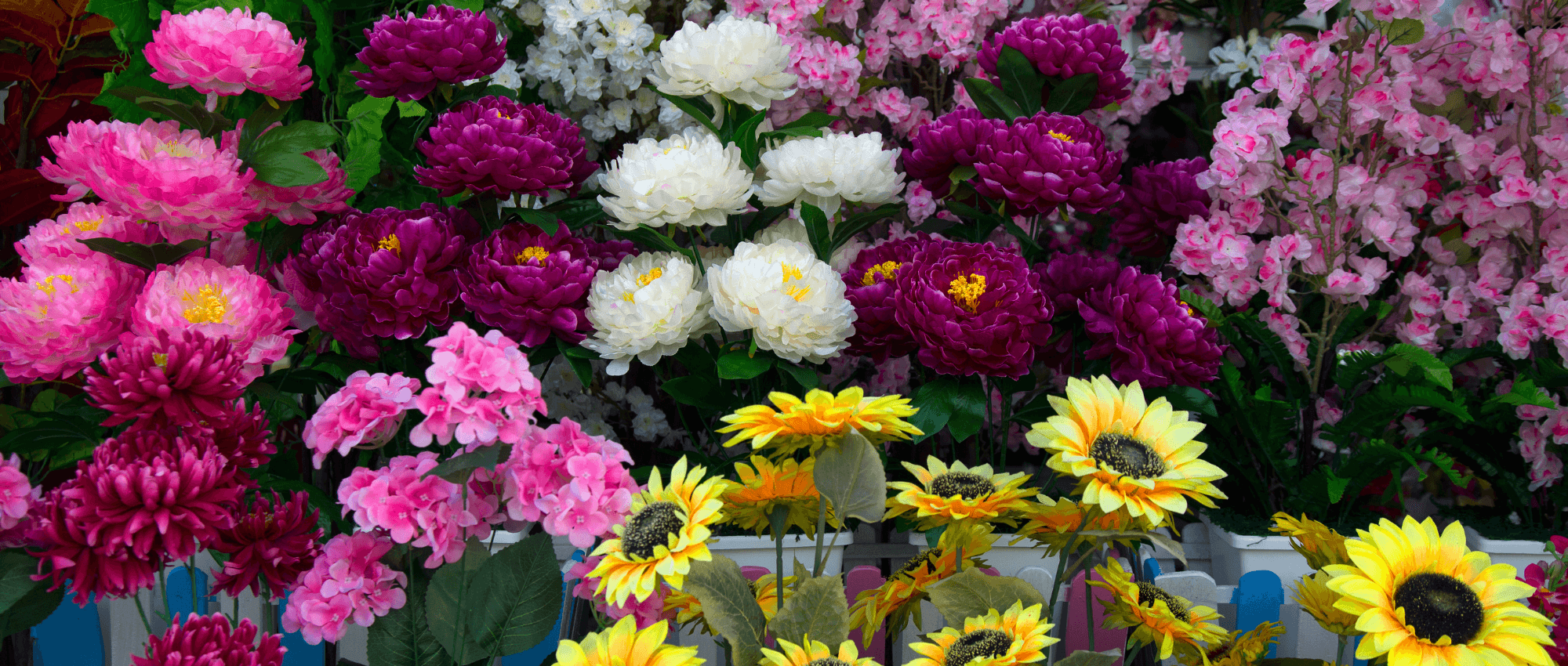 pink purple and yellow flowers