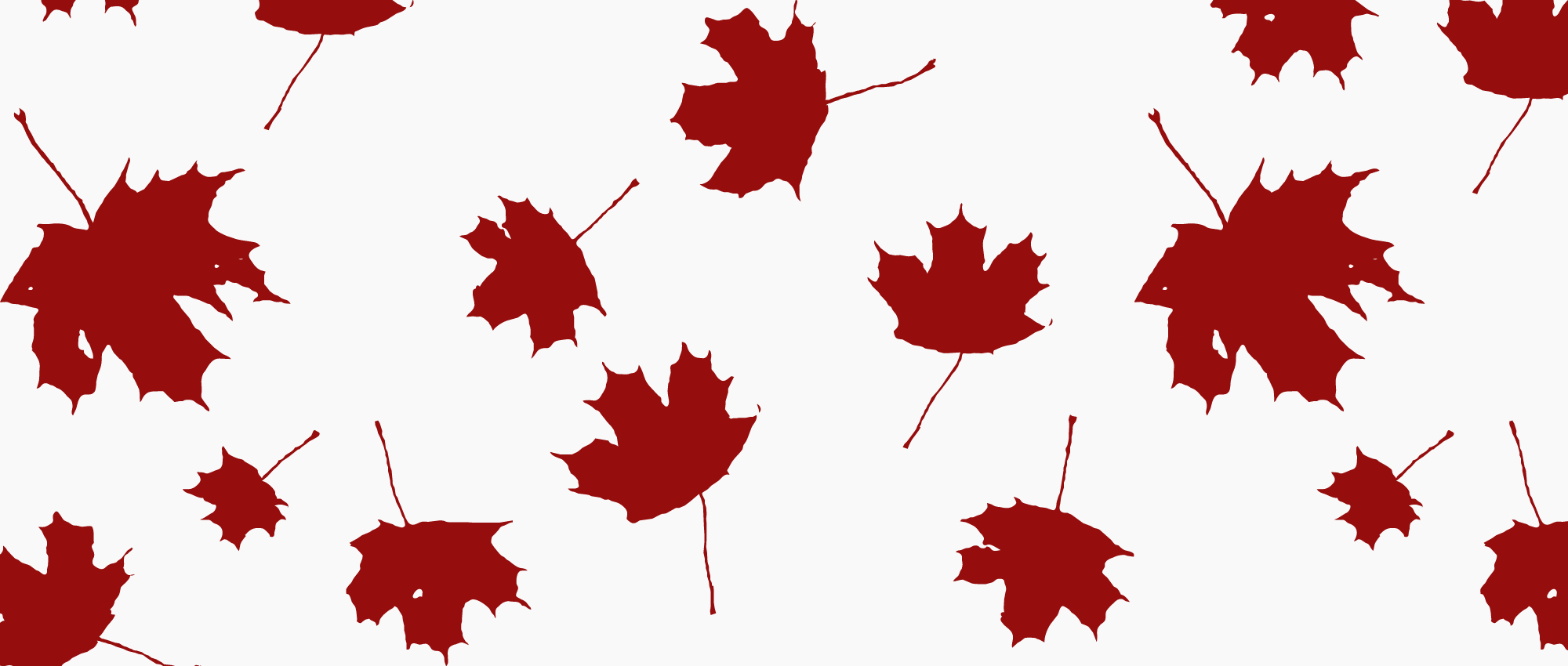 Red maple leaves on a white background