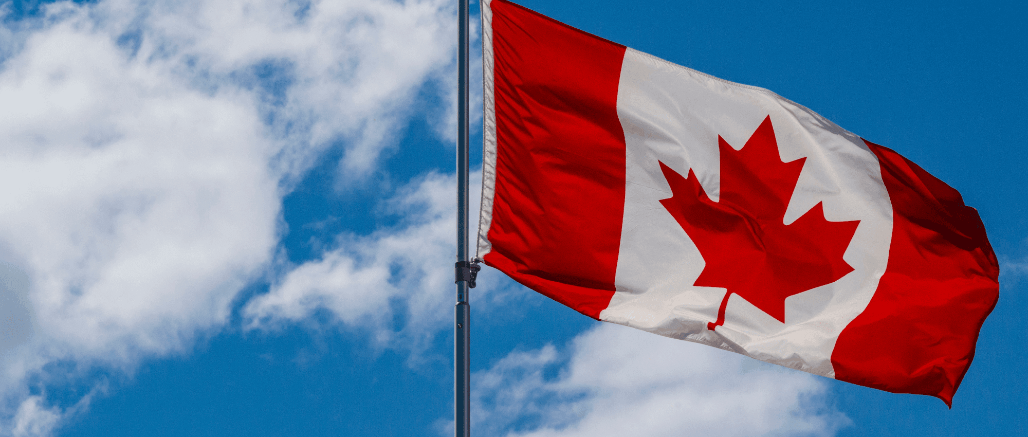 A waving Canadian flag