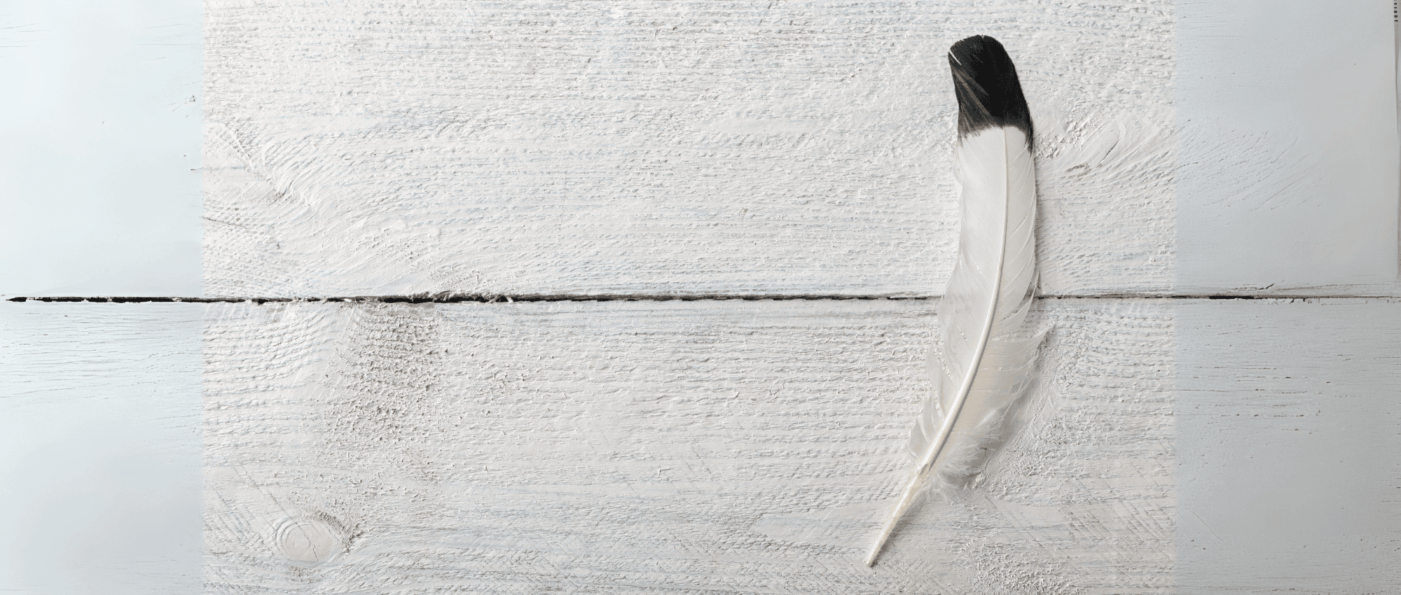 Feather on white paint wooden table
